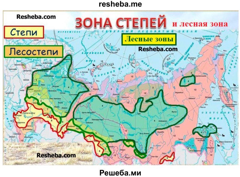 На карте России определите положение степей и лесов умеренных поясов