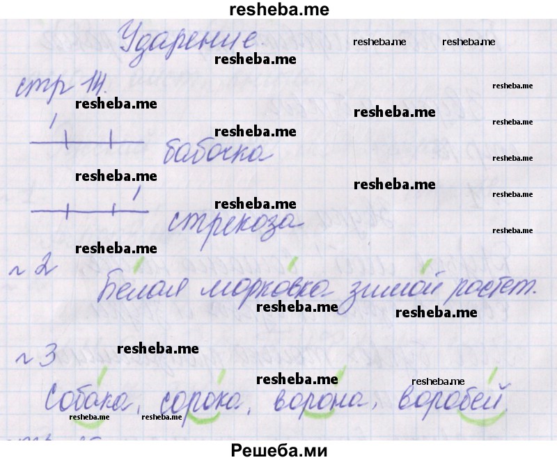     ГДЗ (Решебник 2016) по
    русскому языку    1 класс
            (проверочные работы)            Канакина В.П.
     /        страница / 14
    (продолжение 2)
    