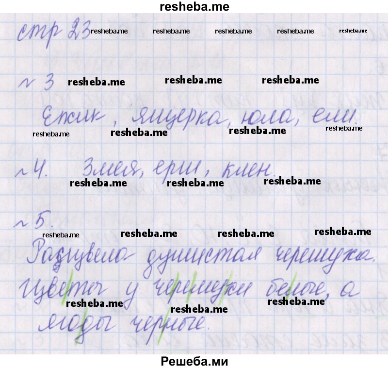     ГДЗ (Решебник 2016) по
    русскому языку    1 класс
            (проверочные работы)            Канакина В.П.
     /        страница / 23
    (продолжение 2)
    