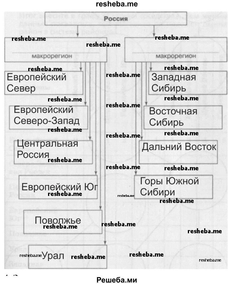 Заполните схему. Напишите названия макрорегионов (частей) России и районов, входящих в их состав