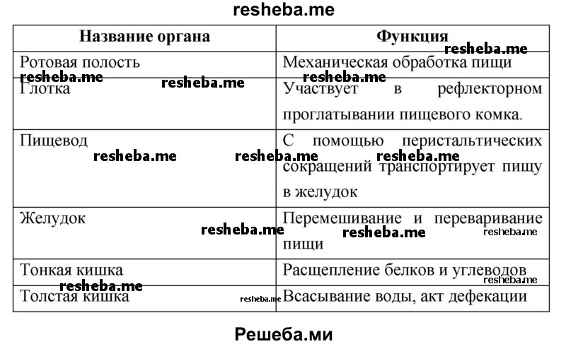 Составьте и заполните таблицу «Органы пищеварительной системы человека и их функции»