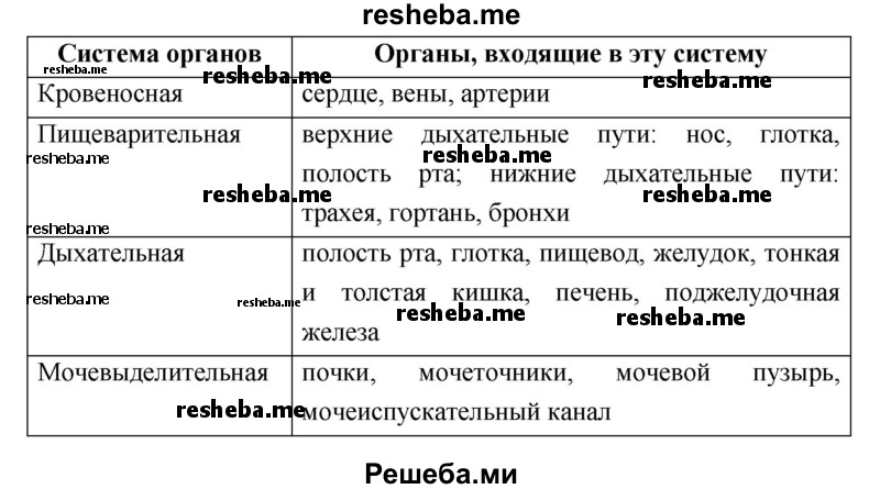 Выпишите известные вам названия органов, относящиеся к кровеносной, дыхательной, пищеварительной и мочевыделительной системам