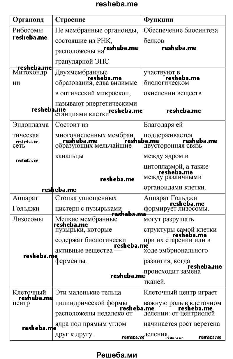 Клеточное строение организма. Строение животной клетки