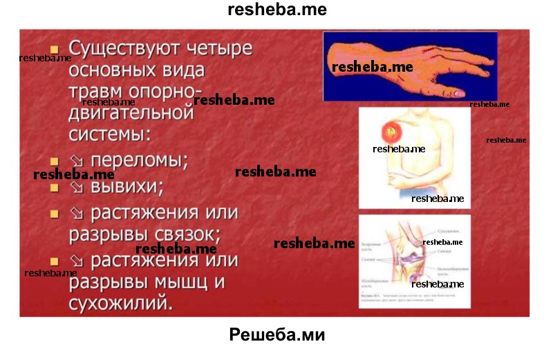 Сегодня была первая репетиция нашей музыкальной группы шепотом сообщила вера составить схему