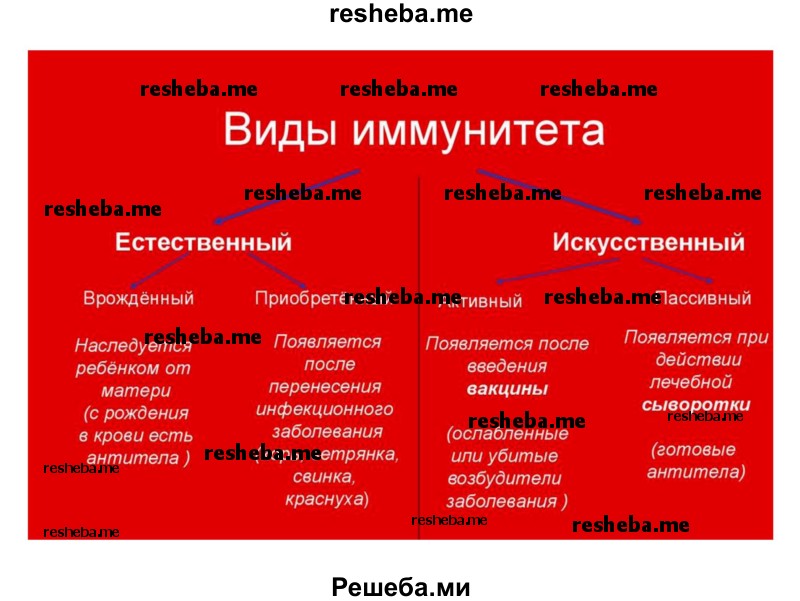 Подготовьте план 5 главы подумайте в какой фразе передано ощущение тома