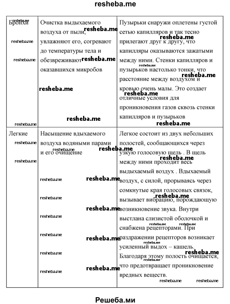 Составьте и заполните таблицу «Строение дыхательной системы»