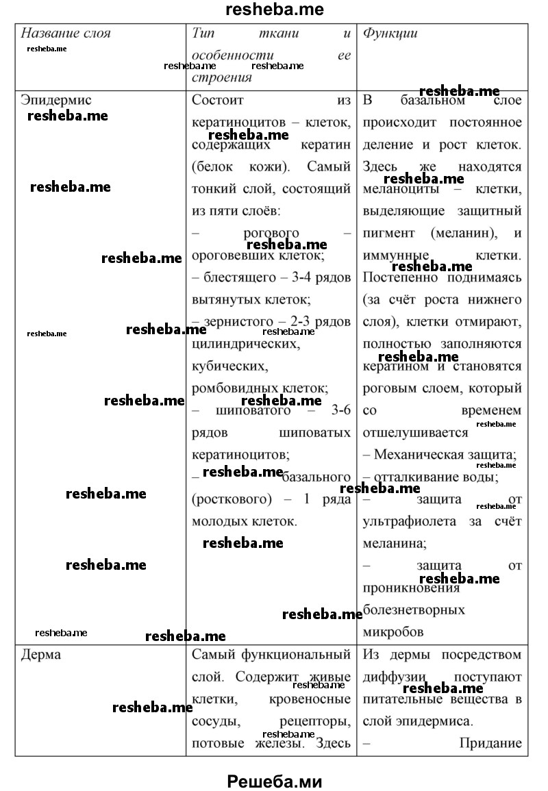  Заполните таблицу «Строение кожи»