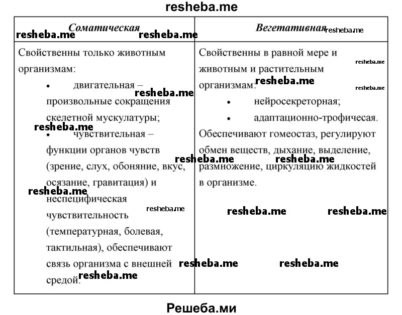 Сравните функции соматической и вегетативной нервной системы