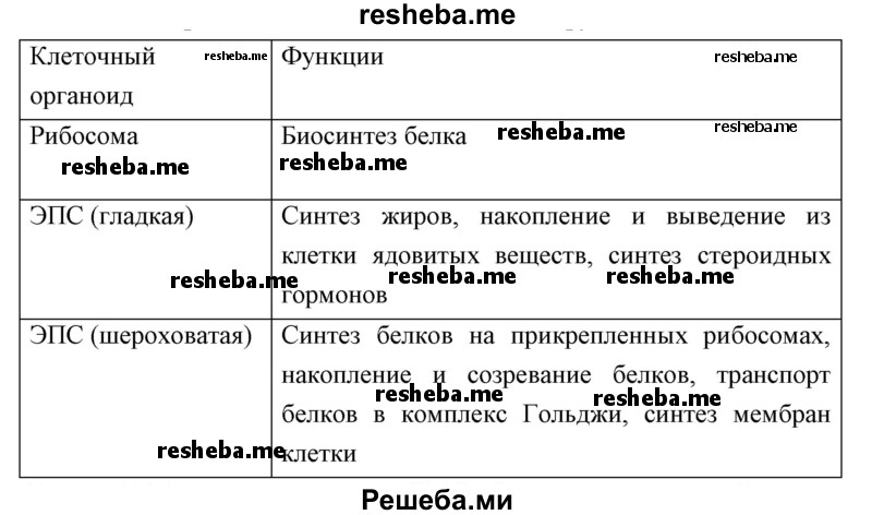 Начните составление сравнительной таблицы о строении клеток эукариотов. В правой колонке укажите клеточный органоид, в левой напишите его функции