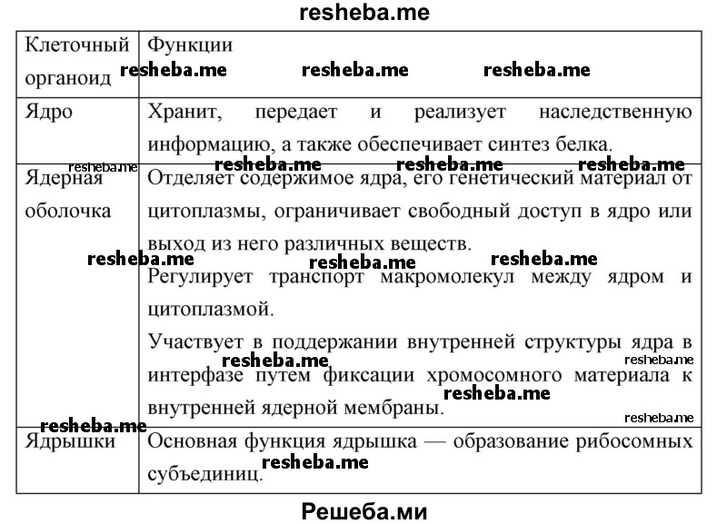 Продолжайте заполнение сравнительной таблицы о строении клеток эукариотов (см. задание 1 на с. 152)