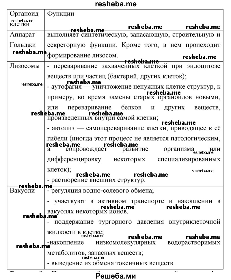 Продолжайте заполнение сравнительной таблицы о строении клеток эукариотов (см. задание 1 на с. 152)