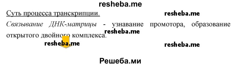 Используя ключевые слова параграфа постройте основу схемы показывающей суть процесса фотосинтеза