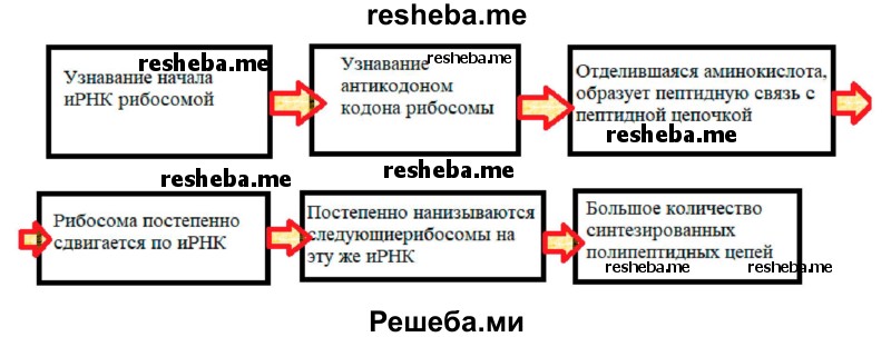 Используя ключевые слова параграфа постройте основу схемы показывающей суть процесса фотосинтеза