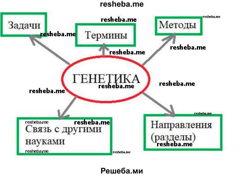 Используя ключевые слова параграфа постройте основу схемы ментальной