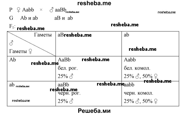 Составим схему скрещивания