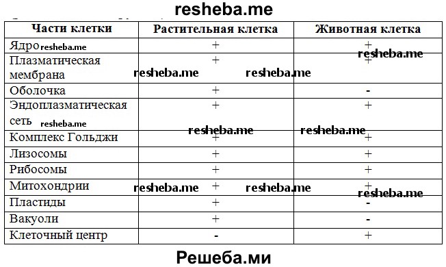 таблица «Органоиды и их функции»