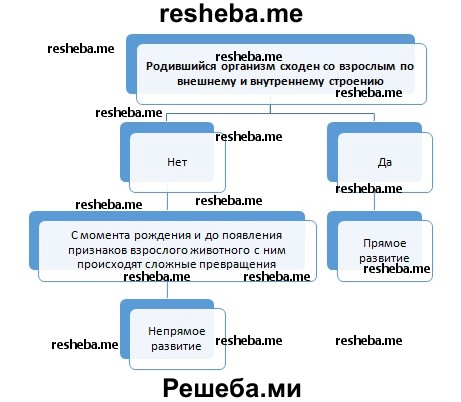 Послезародышевое развитие